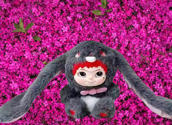 Wakuku Fox and Bunny